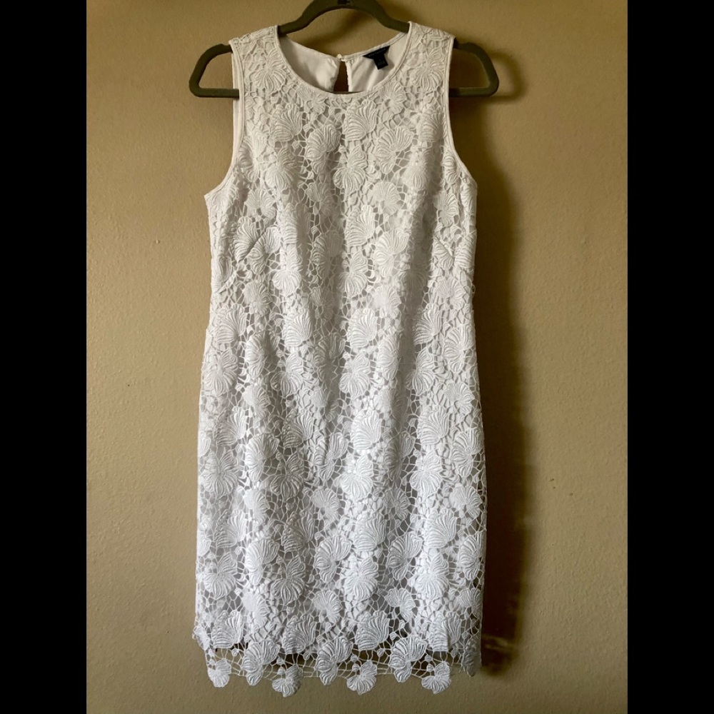 Ann Taylor gorgeous white lace sheath dress.EUC